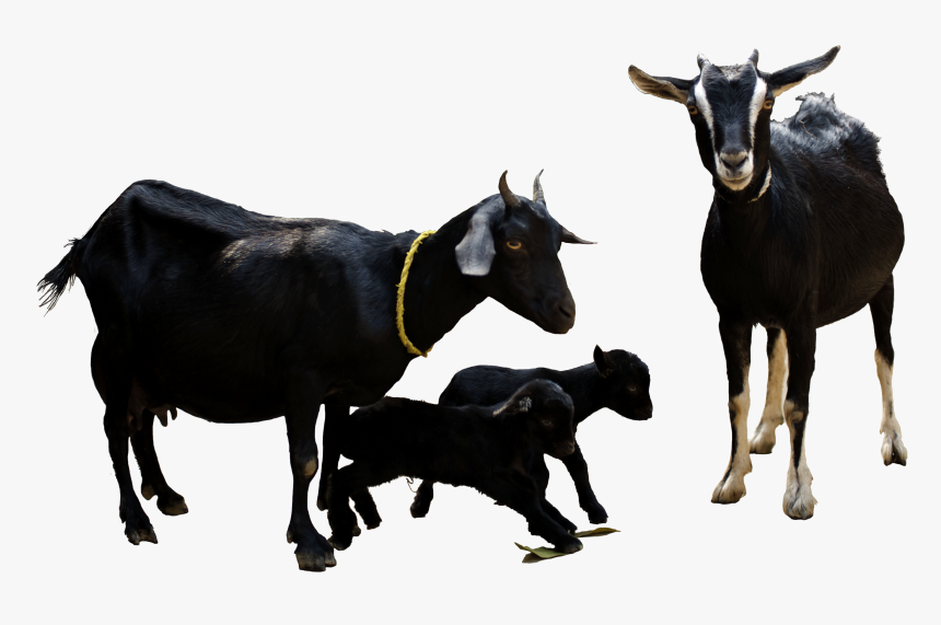 চলমান প্রকল্প সমূহ -২